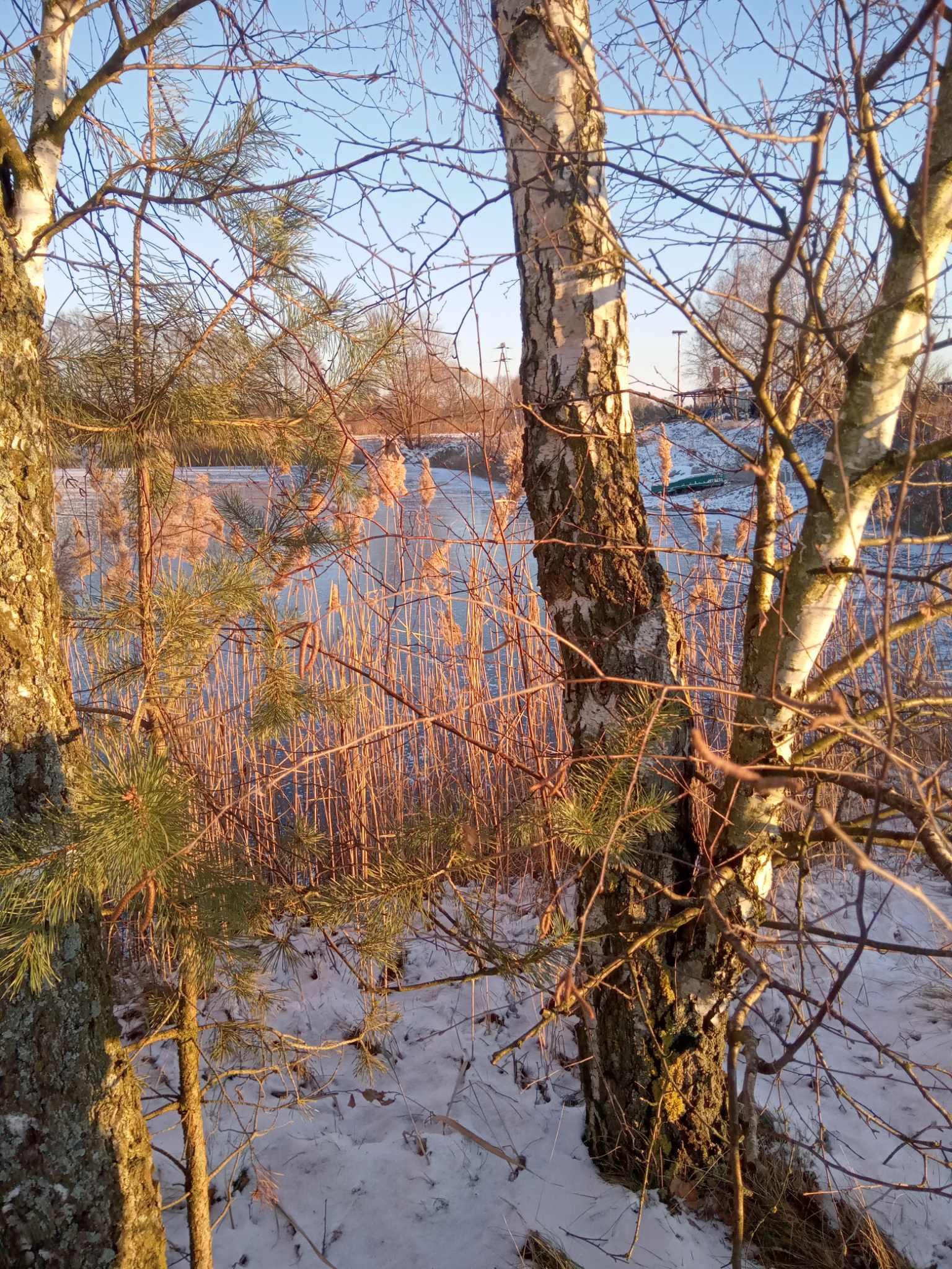 Olek
