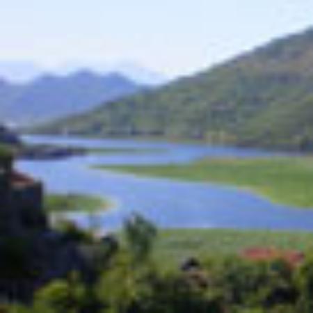 Restauracja Orientalna LOTOS